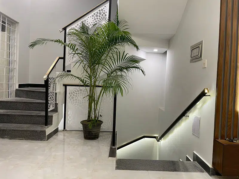 423588869-800×600-1