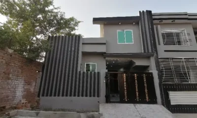 423898126-800×600-1
