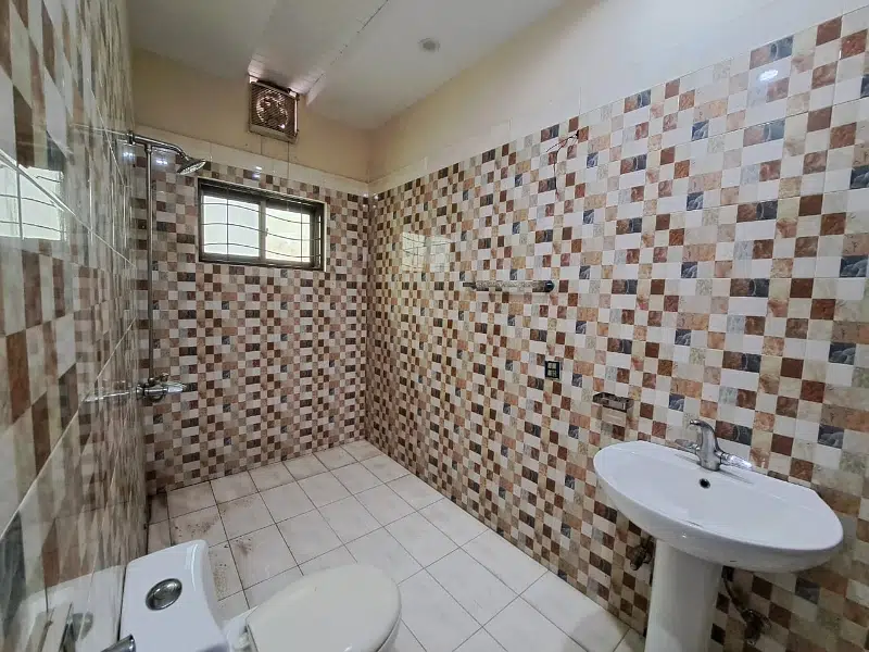 424988025-800×600-1
