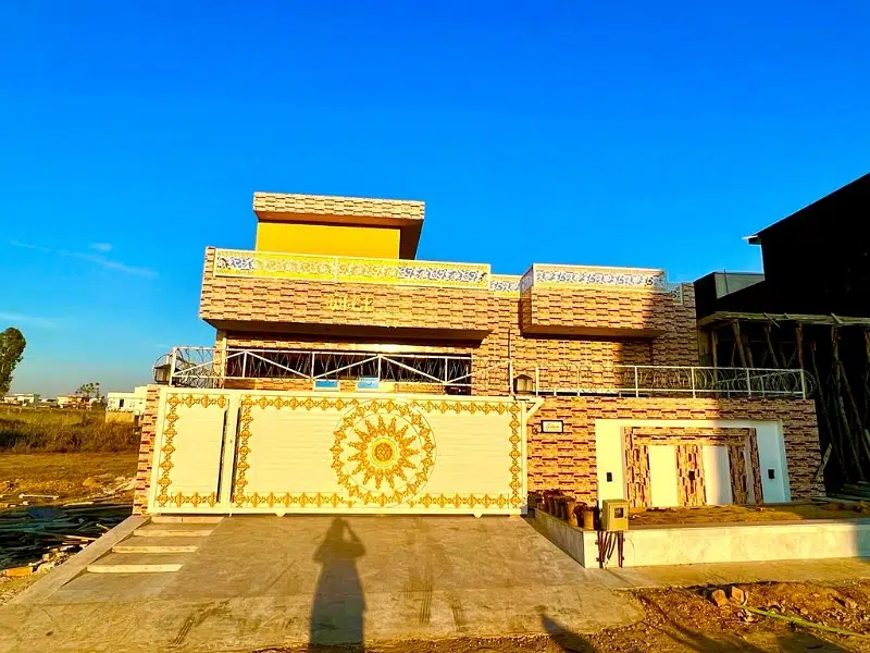 425163677-800×600-1
