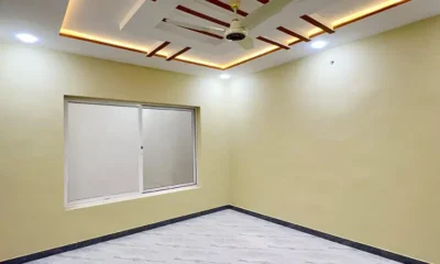 425954116-800×600-1